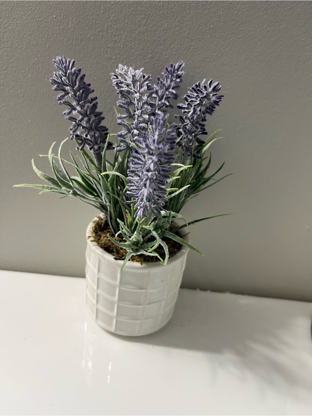 3 Decor-Includes 2 Faux Succulent in White Speckled Pot & 1 flower in pot
